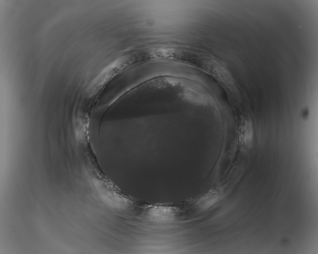 X0000116120332200912071352