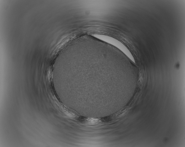 X0000116120333200912071352