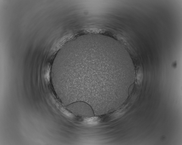 X0000116120334200912071352