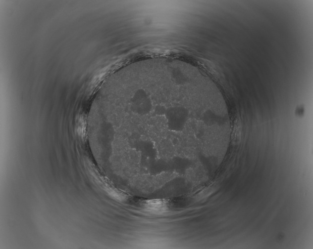 X0000116120335200912071352