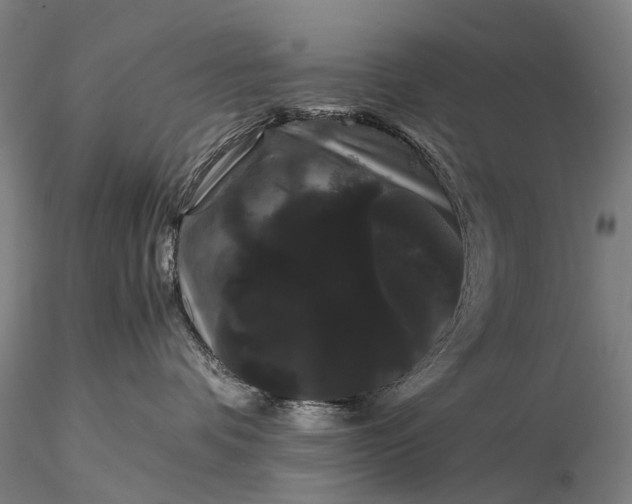 X0000116120336200912071352