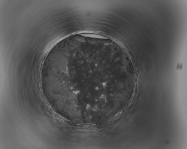 X0000116120337200912071351