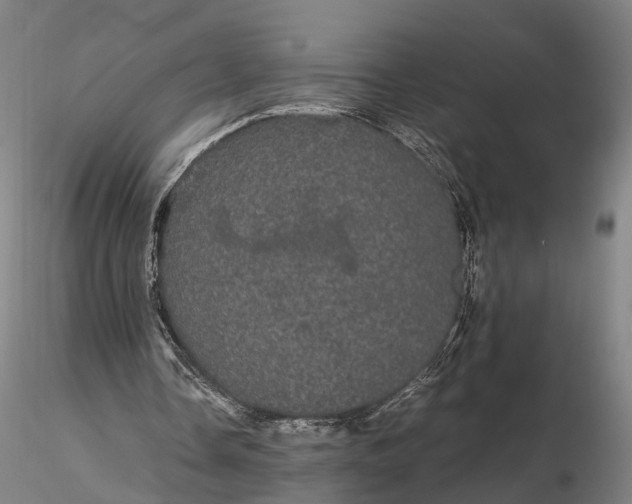 X0000116120338200912071351