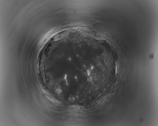 X0000116120339200912071351