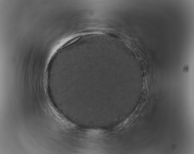 X0000116120342200912071351