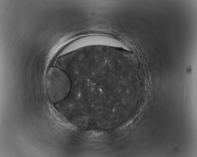 X0000116120343200912071351