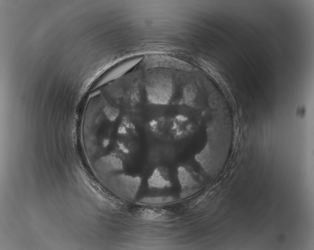 X0000116120346200912071351