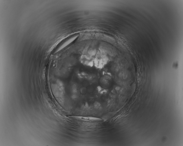 X0000116120347200912071351