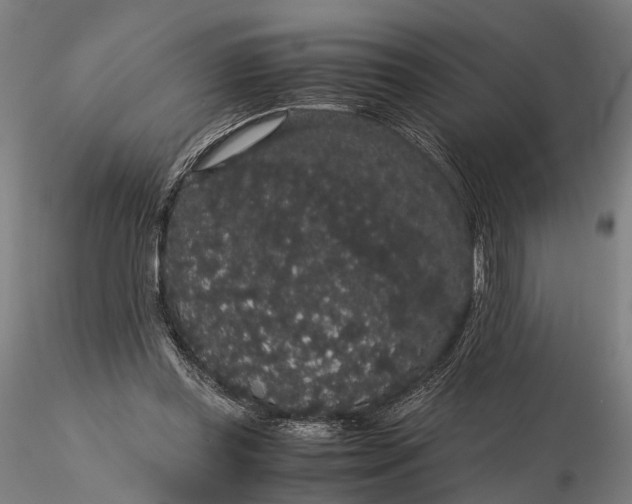 X0000116120349200912071351