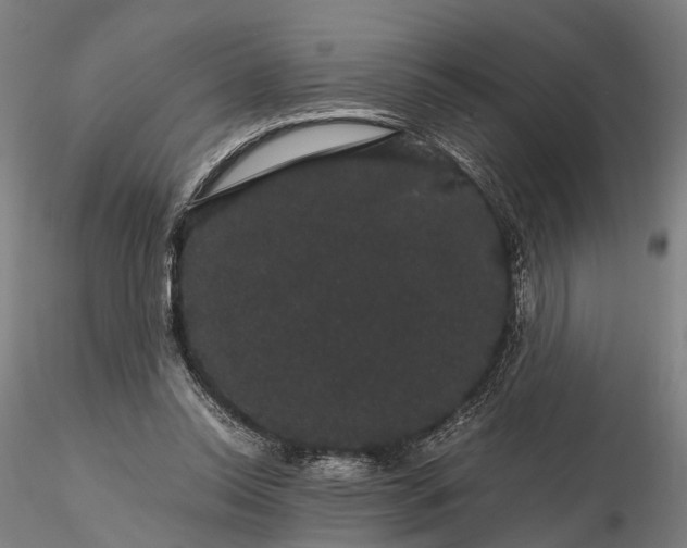 X0000116120350200912071351