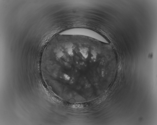 X0000116120353200912071351