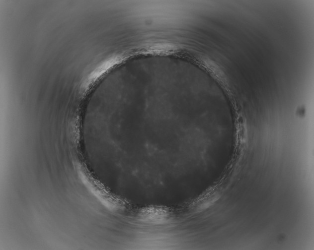 X0000116120354200912071351