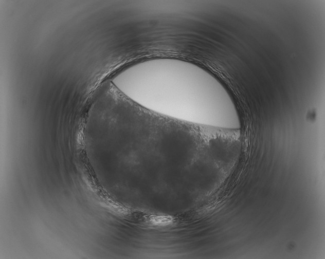 X0000116120355200912071351