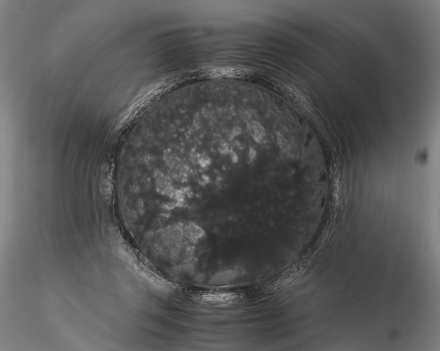 X0000116120357200912071351