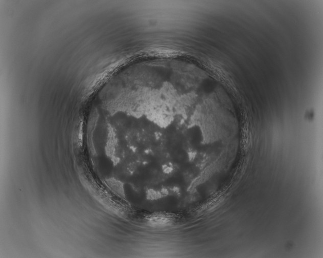 X0000116120358200912071351