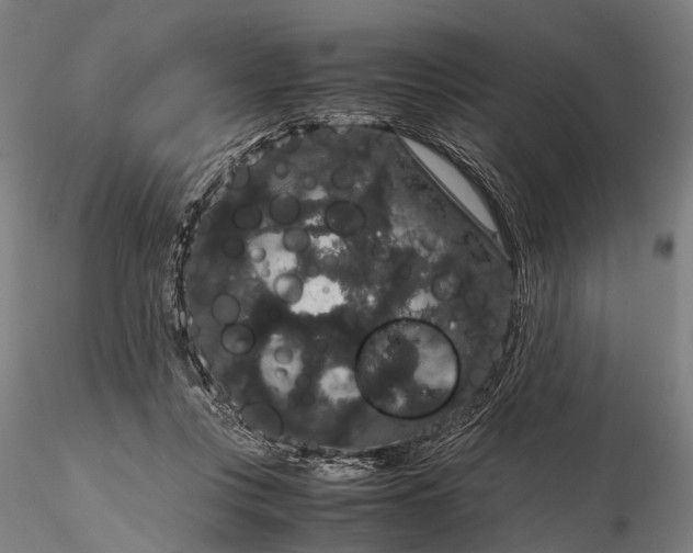 X0000116120359200912071351