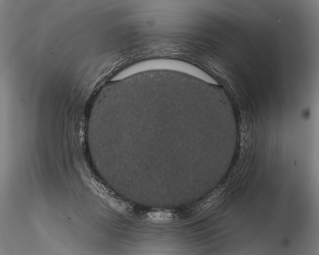 X0000116120362200912071351