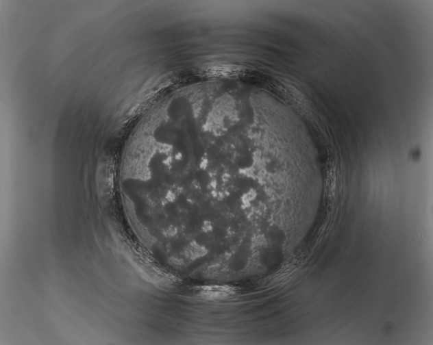 X0000116120363200912071351