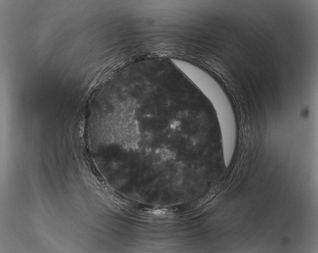 X0000116120365200912071351