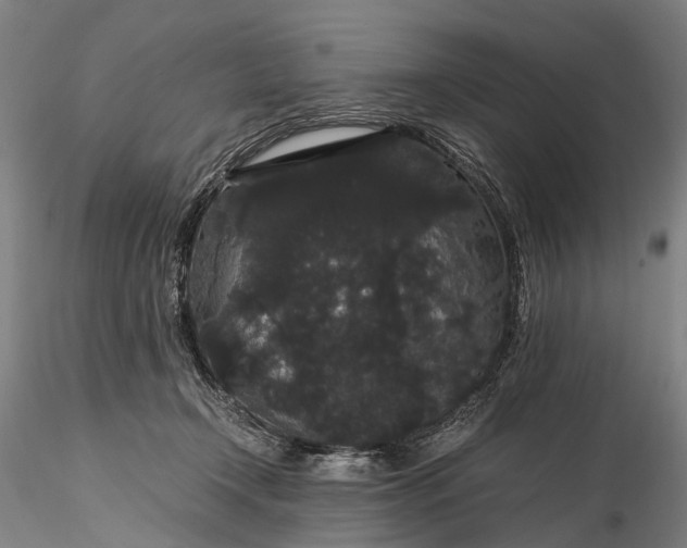 X0000116120366200912071351