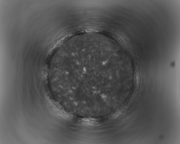 X0000116120367200912071351