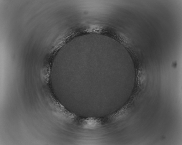 X0000116120370200912071352