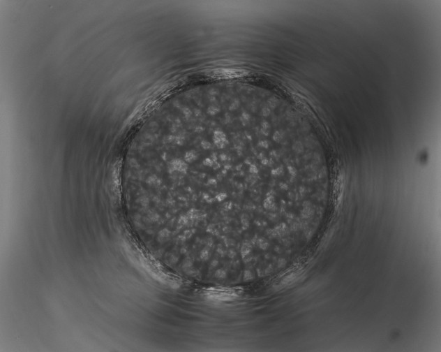 X0000116120373200912071352