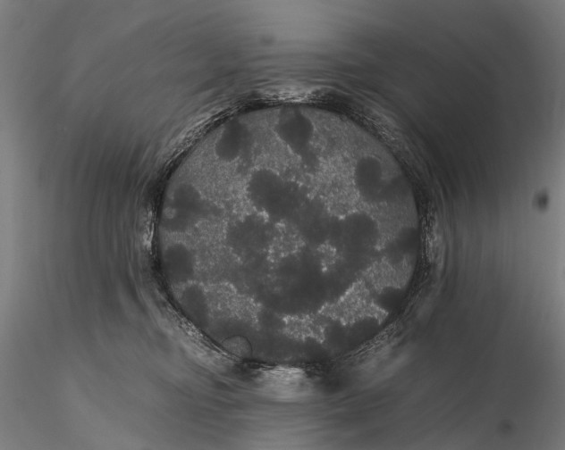 X0000116120374200912071352