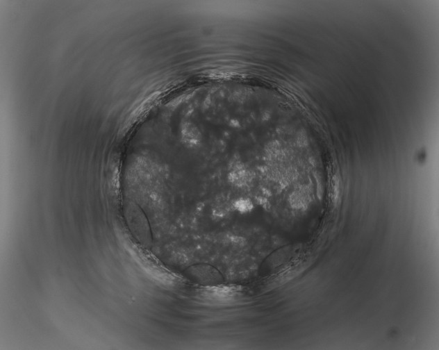 X0000116120375200912071352