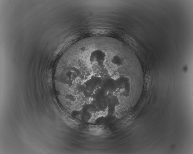 X0000116120377200912071352