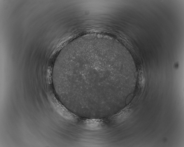 X0000116120378200912071352