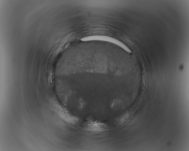 X0000116120379200912071352