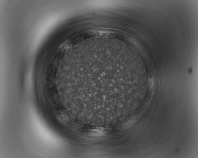 X0000116120381200912071352