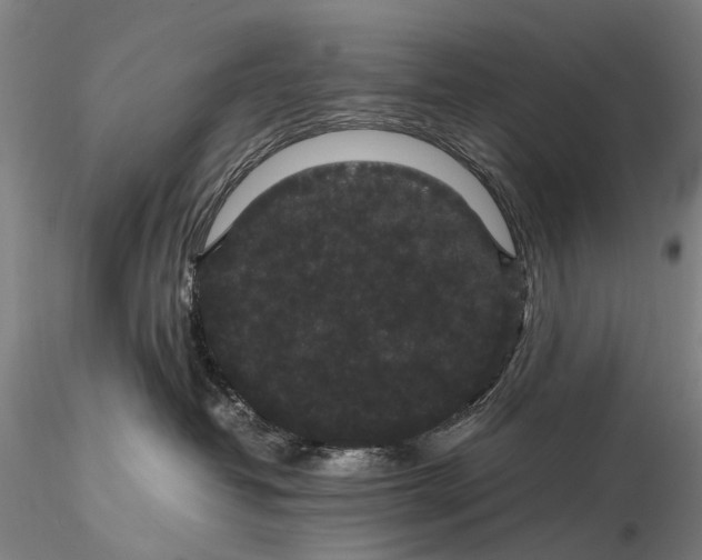 X0000116120382200912071352