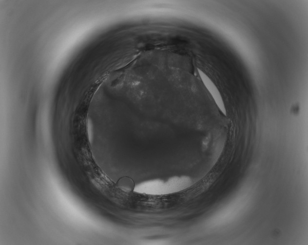 X0000116120383200912071352