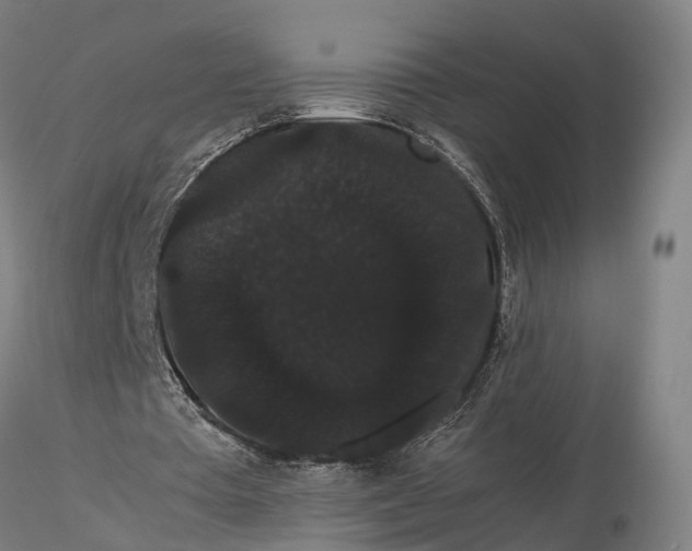 X0000116120385200912071351