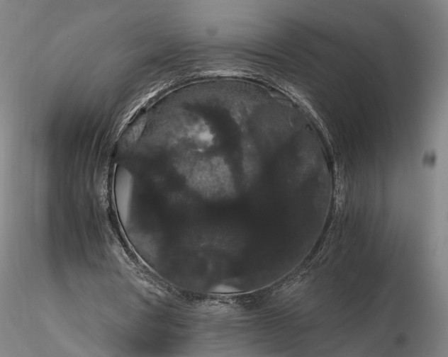 X0000116120386200912071351