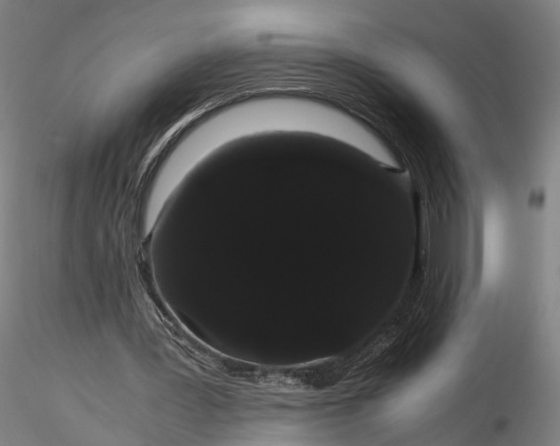 X0000116120387200912071351