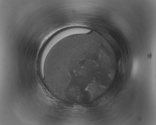 X0000116120388200912071351