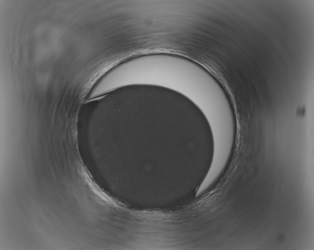 X0000116120389200912071351