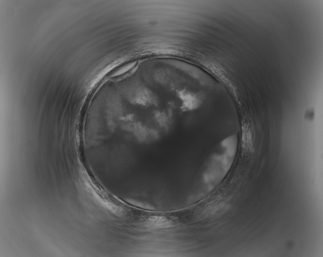 X0000116120390200912071351