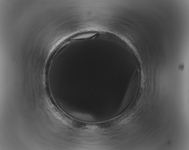 X0000116120391200912071351