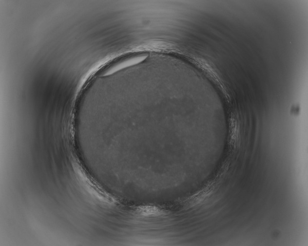 X0000116120392200912071351