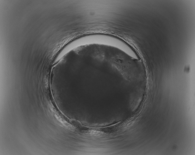 X0000116120393200912071351