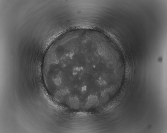 X0000116120394200912071351