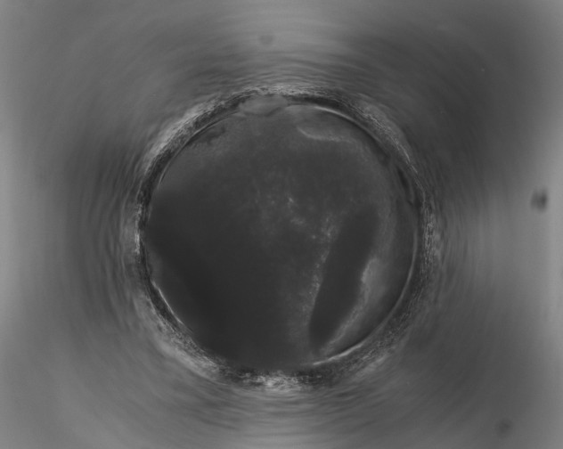 X0000116120395200912071351