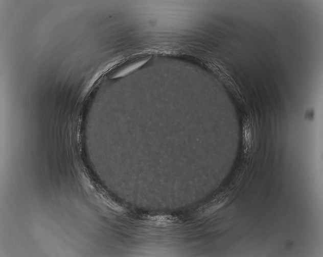 X0000116120396200912071351