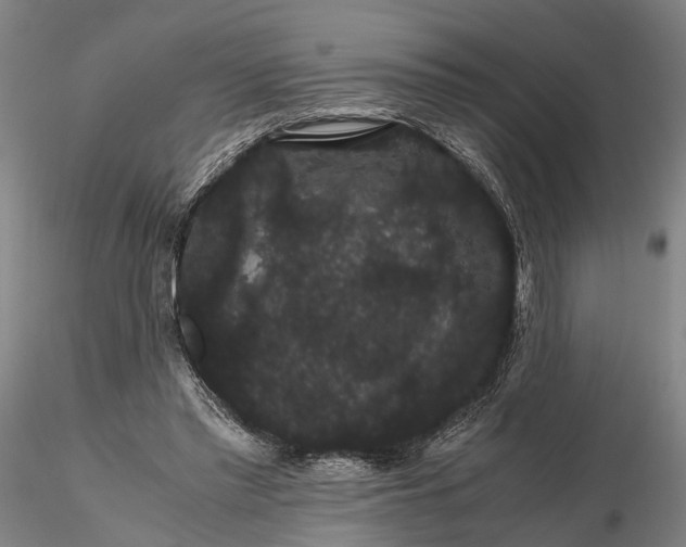 X0000116120397200912071351