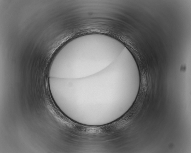 X0000116120398200912071351