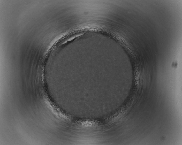 X0000116120400200912071351